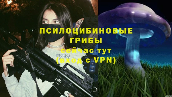 mdpv Лиски