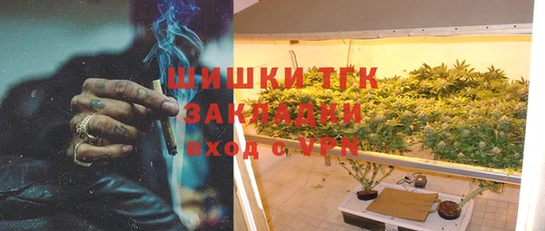 гидра Липки