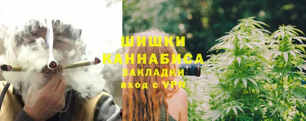 гидра Липки