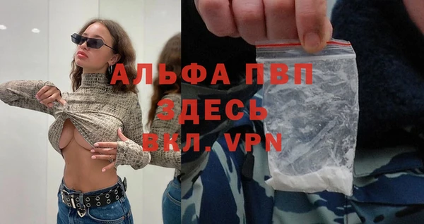 гидра Липки