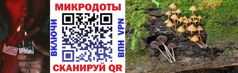 Галлюциногенные грибы GOLDEN TEACHER  Орехово-Зуево 